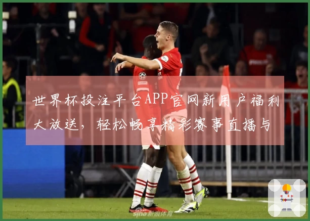 世界杯投注平台APP官网新用户福利大放送，轻松畅享精彩赛事直播与互动体验