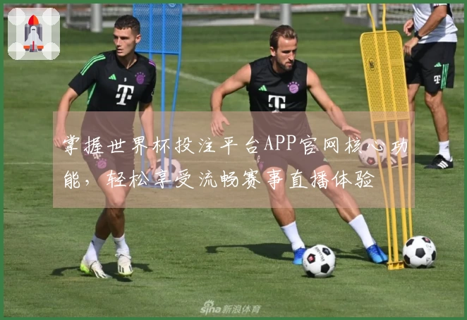 掌握世界杯投注平台APP官网核心功能，轻松享受流畅赛事直播体验