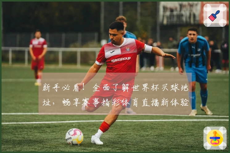 新手必看！全面了解世界杯买球地址，畅享赛事精彩体育直播新体验