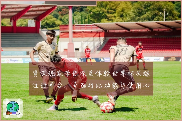 资深玩家带你深度体验世界杯买球注册平台,全面对比功能与使用心得