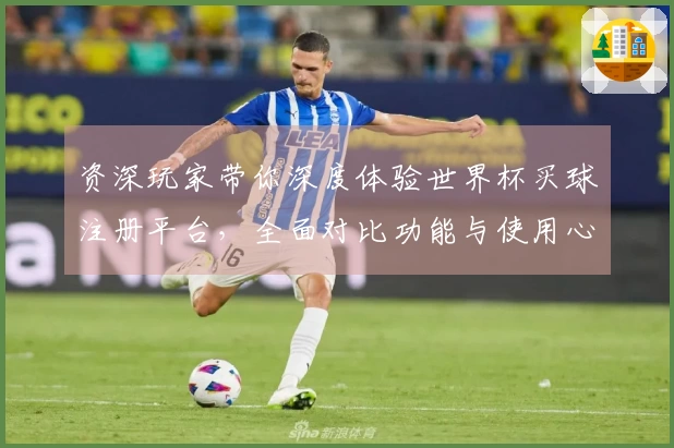 资深玩家带你深度体验世界杯买球注册平台，全面对比功能与使用心得