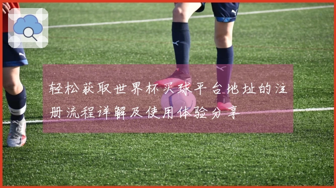 轻松获取世界杯买球平台地址的注册流程详解及使用体验分享