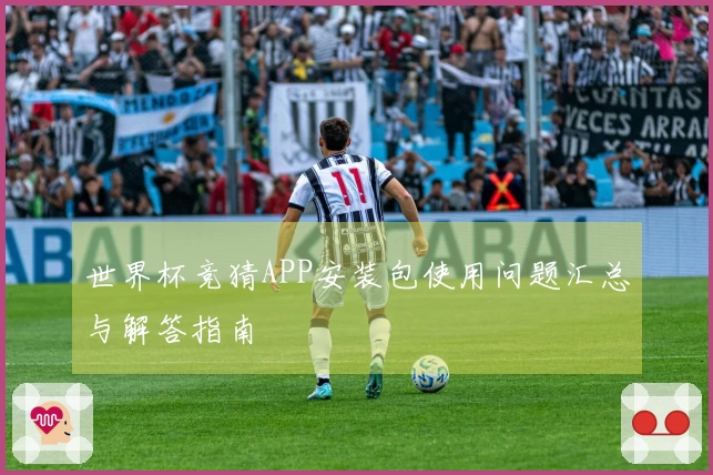 世界杯竞猜APP安装包使用问题汇总与解答指南