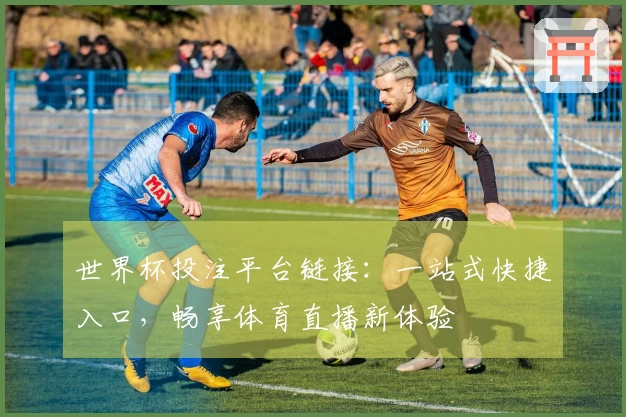 世界杯投注平台链接：一站式快捷入口，畅享体育直播新体验